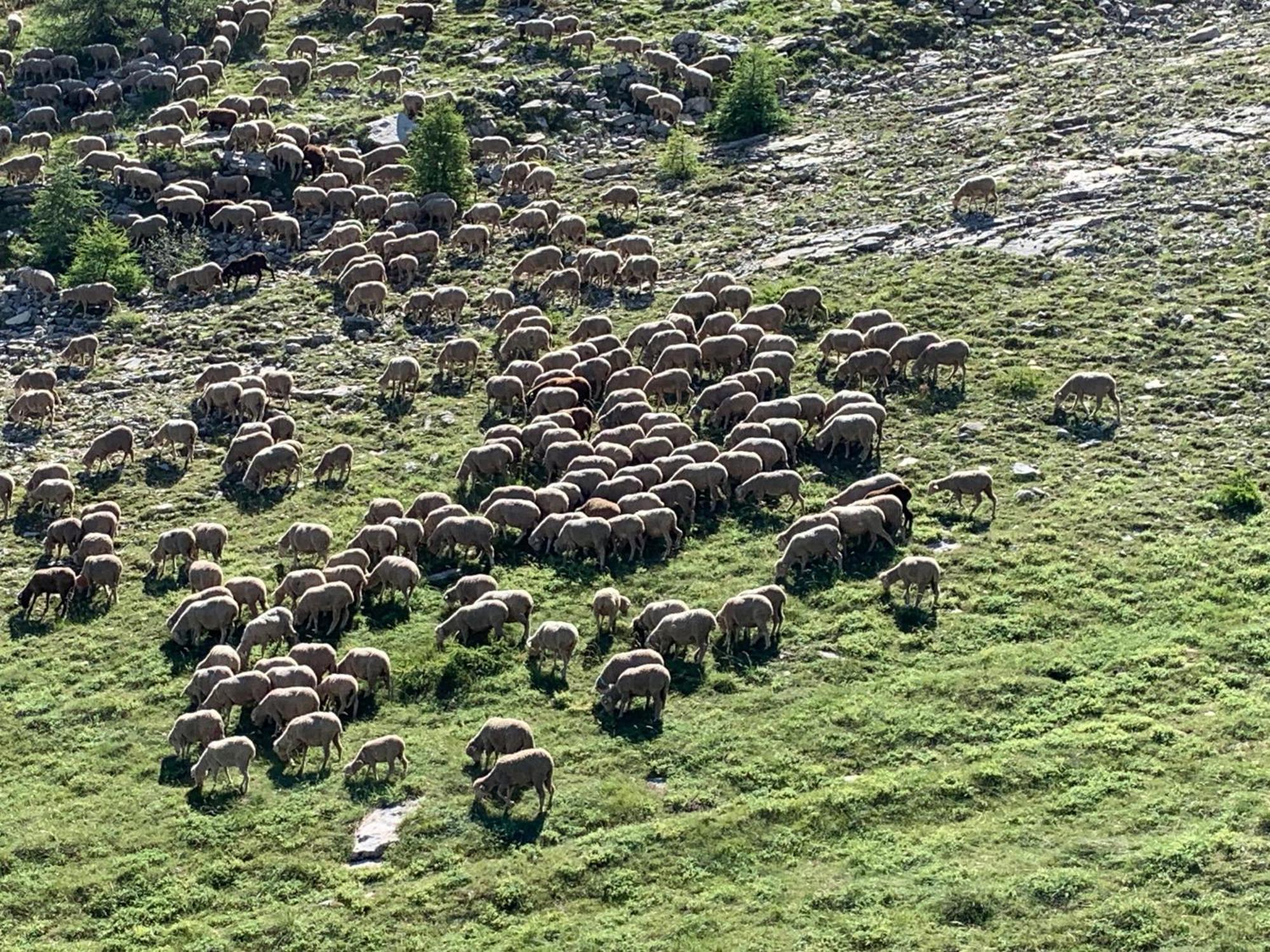 Le Flocon D'Aurouze 522, Appartement 4 Personnes, La Joue Du Loup Buitenkant foto